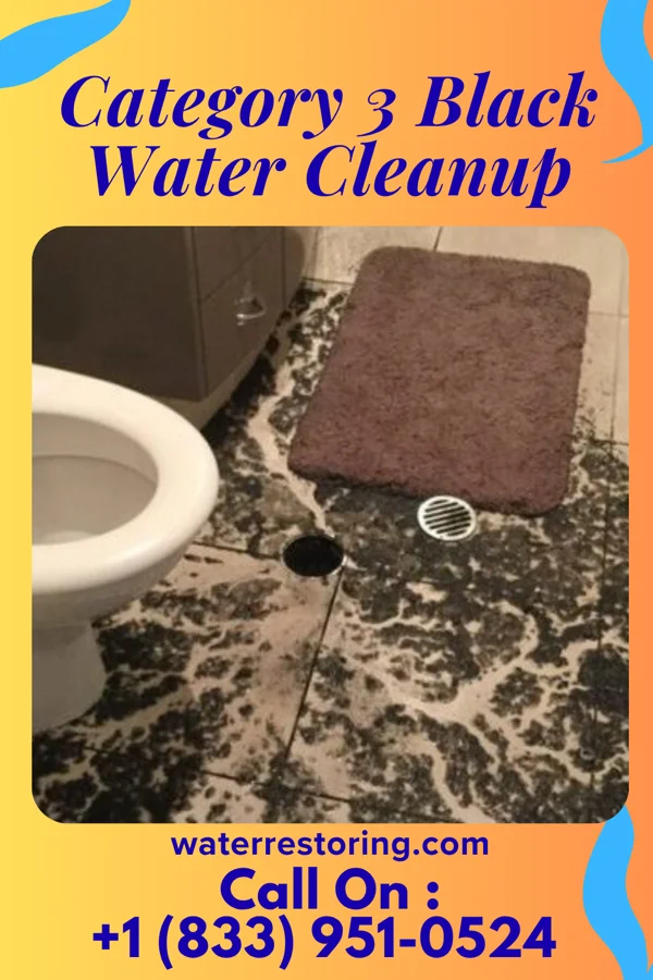 Category 3 Black Water Cleanup in Century, WV