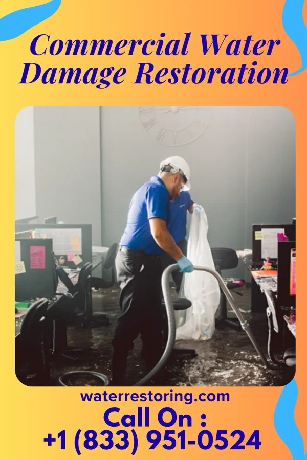 Commercial Water Damage Restoration in Century, WV