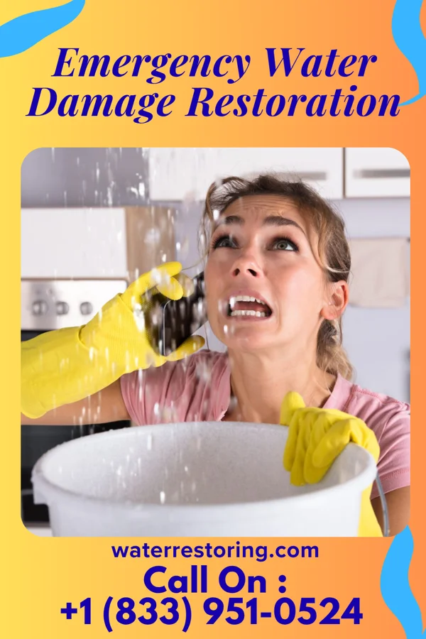 Emergency Water Damage Restoration in Century, WV