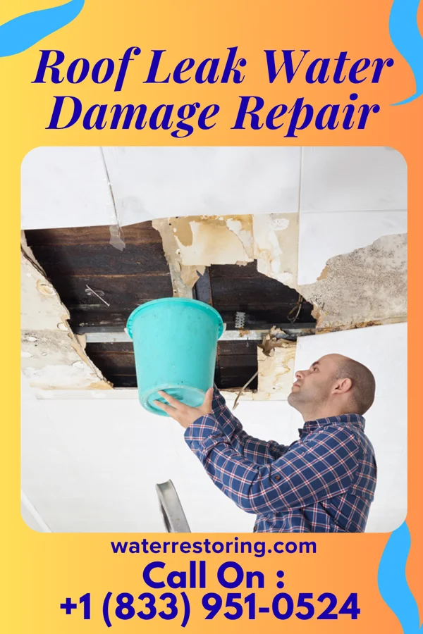 Roof Leak Water Damage Repair in Century, WV
