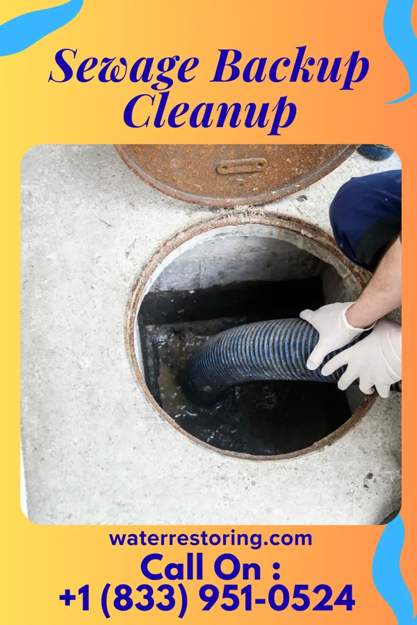 Sewage Backup Cleanup in Century, WV
