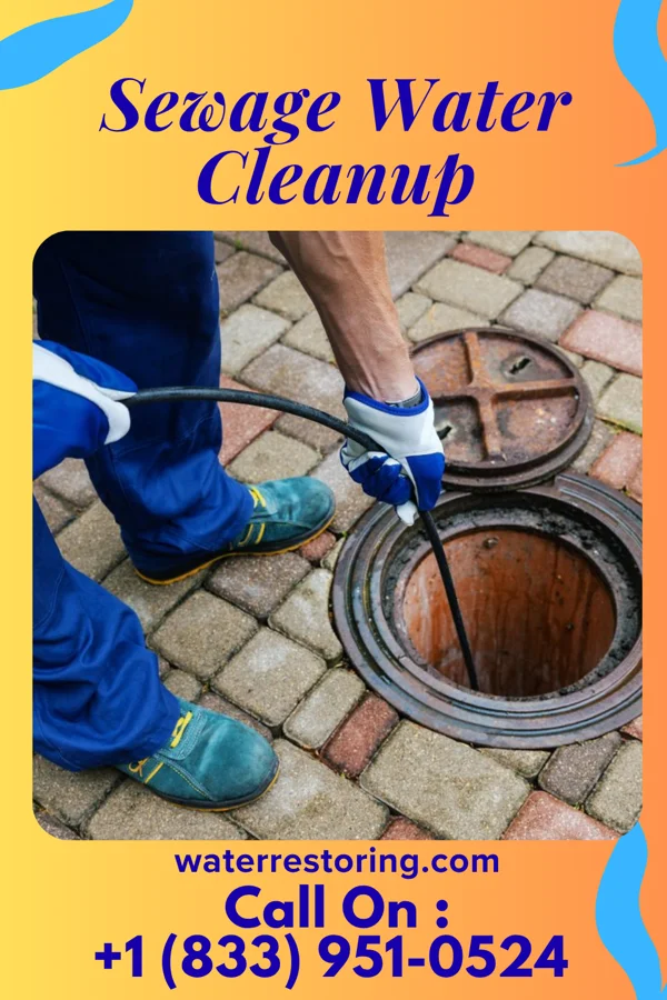 Sewage Water Cleanup in Century, WV
