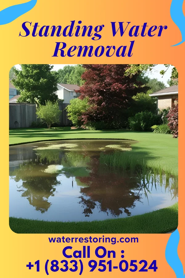 Standing Water Removal in Century, WV